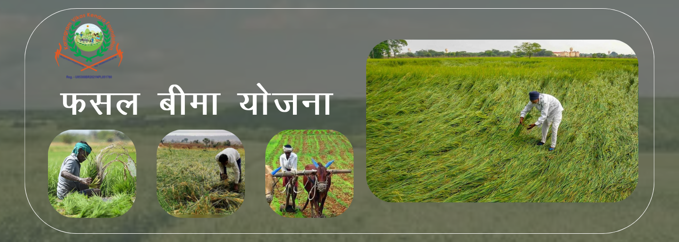 Fasal Vima Yojna — Website Banner design by Abhijit